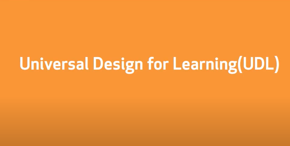 Theme 2: Universal Design for Learning (UDL)
