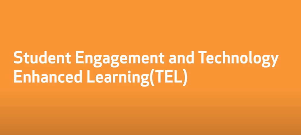 Theme 4: Student Engagement & Technology Enhanced Learning (TEL)